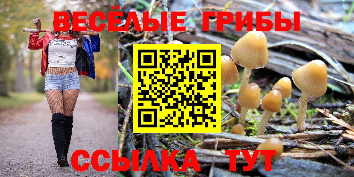 Псилоцибиновые грибы Magic Shrooms  Вход с VPN  Горячий Ключ 