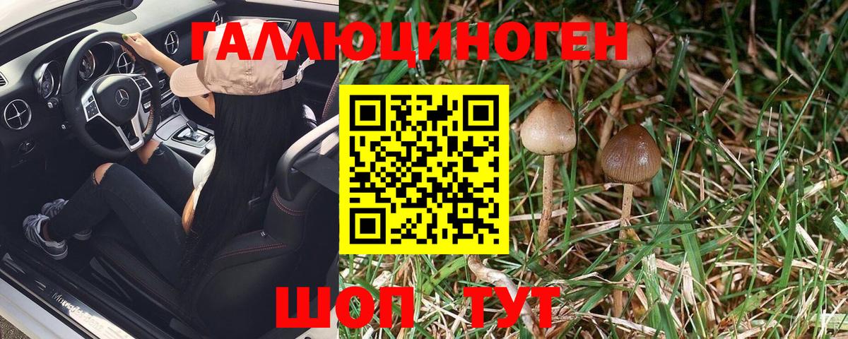 Галлюциногенные грибы MAGIC MUSHROOMS Горячий Ключ